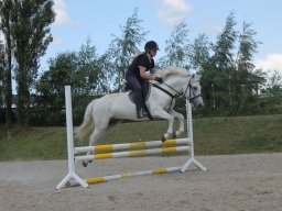 img_3605_web